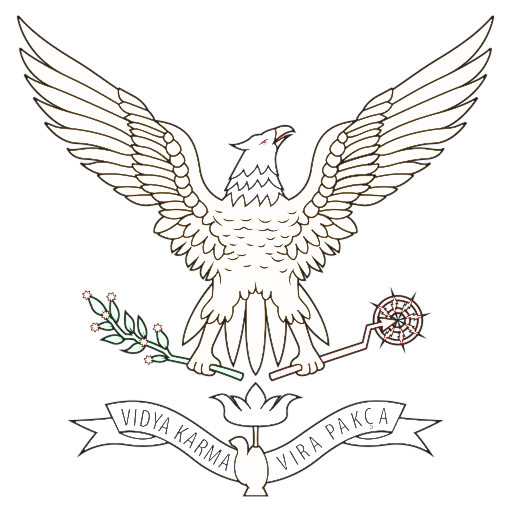 TNI-AU